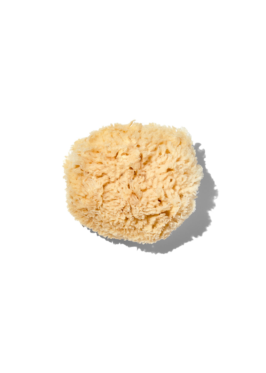 Natural "Wool" 3-4" Sea Sponge