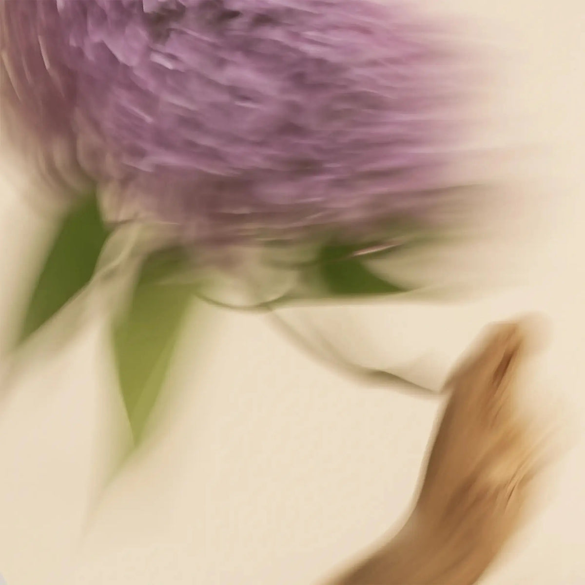 Scented Candle - Lilac + Driftwood