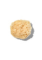 Natural "Wool" 3-4" Sea Sponge