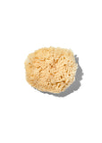 Natural "Wool" 3-4" Sea Sponge