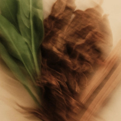 Scented Candle - Sandalwood + Tobacco